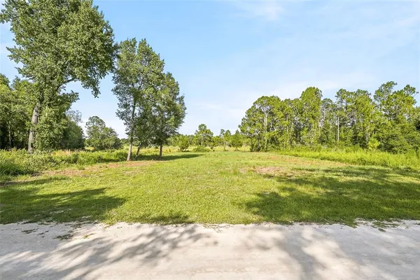 $79,999 | 100 Berryhill Drive, Webster, FL 33597