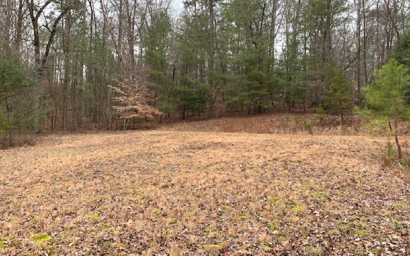 184 West Goldmine Road Ellijay, GA 30536 - Photo 1 of 1 Main View