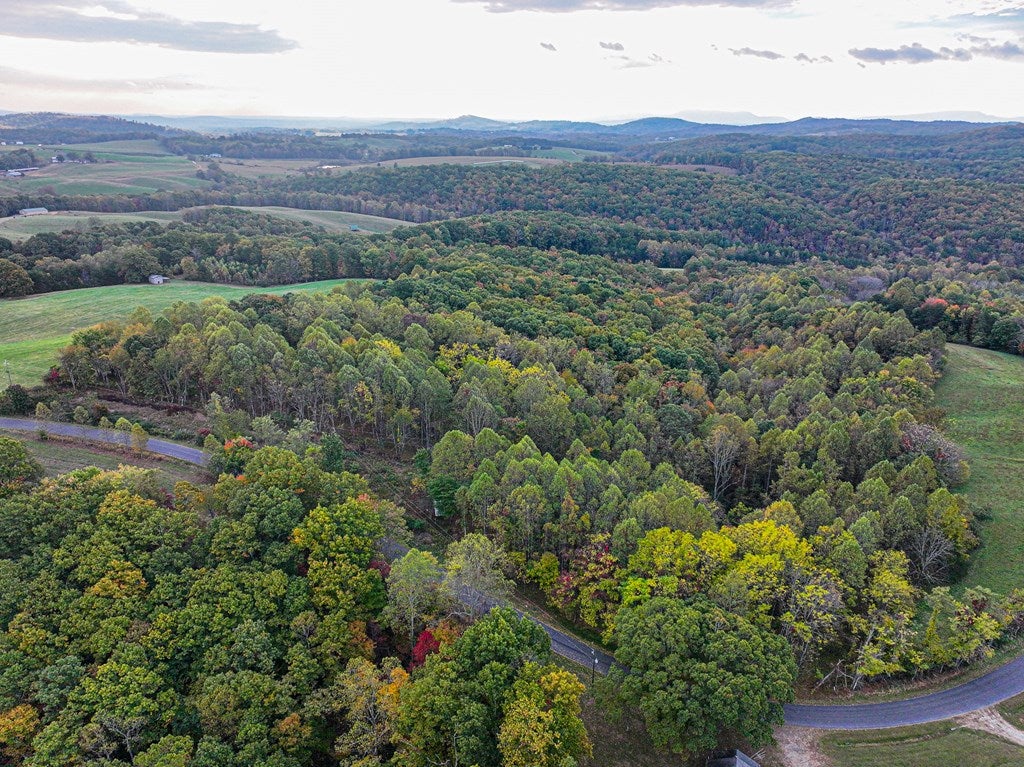 Tbd Pedigo Ridge Road, Unit 204 Claudville, VA 24076 - Photo 2 of 6 Gallery Image 2
