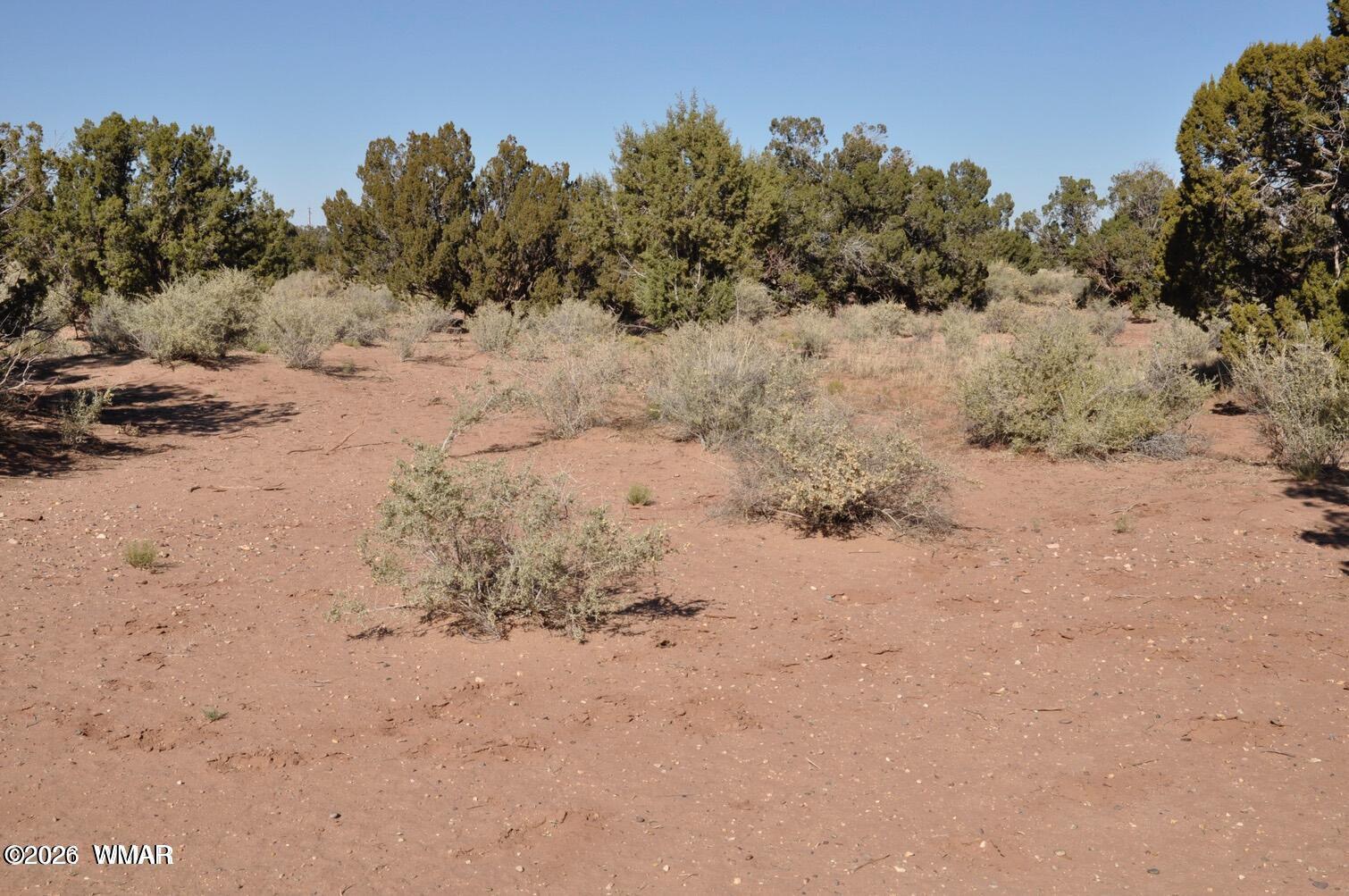 5039 Pima Road Snowflake, AZ 85937 - Photo 5 of 21 a view of a covered with snow in the background