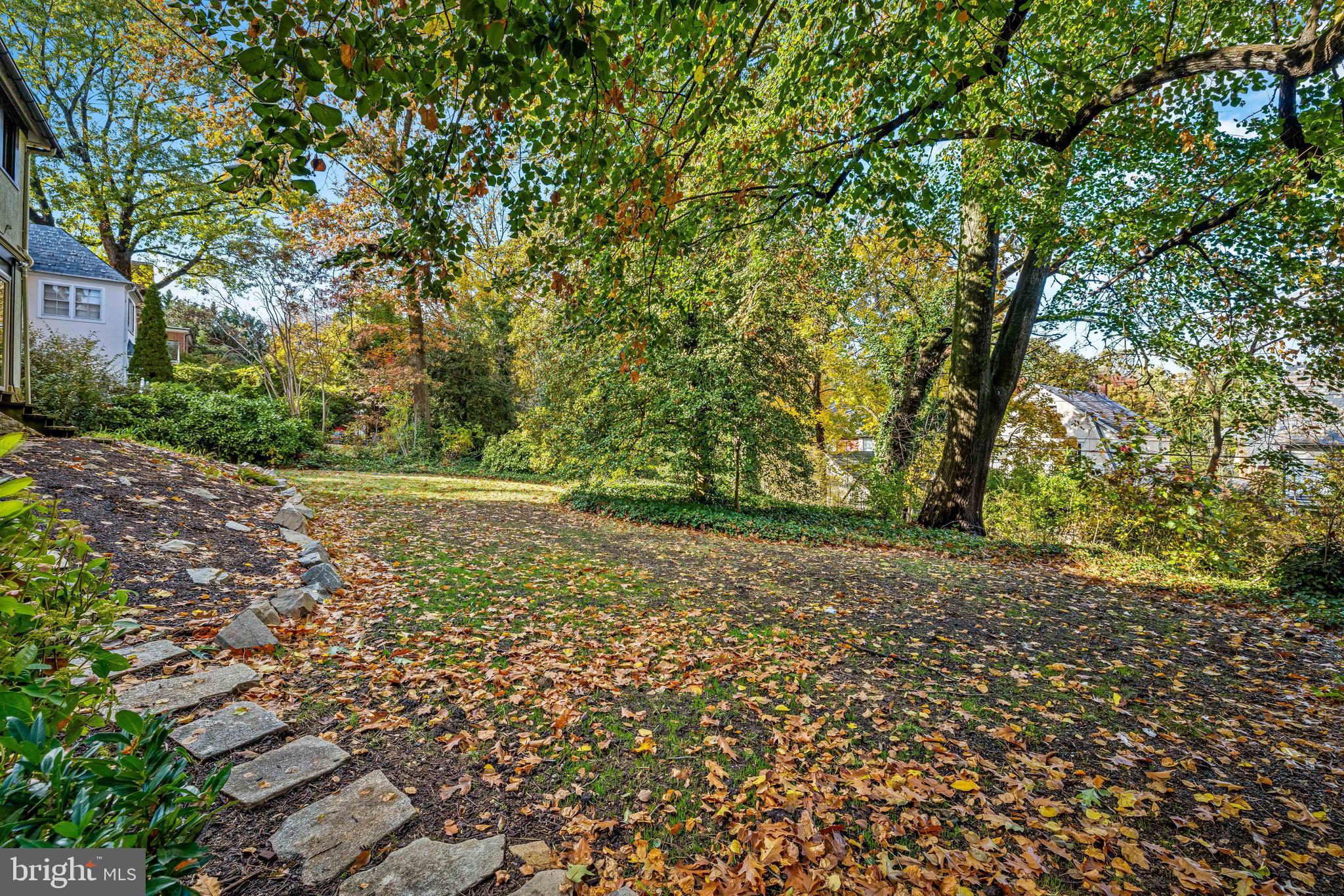 308 Northfield Place Baltimore, MD 21210 - Photo 39 of 41 a view of a yard with a tree