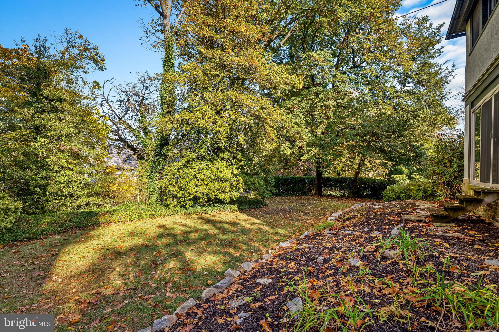 308 Northfield Place Baltimore, MD 21210 - Photo 41 of 41 a view of a yard with plants and trees