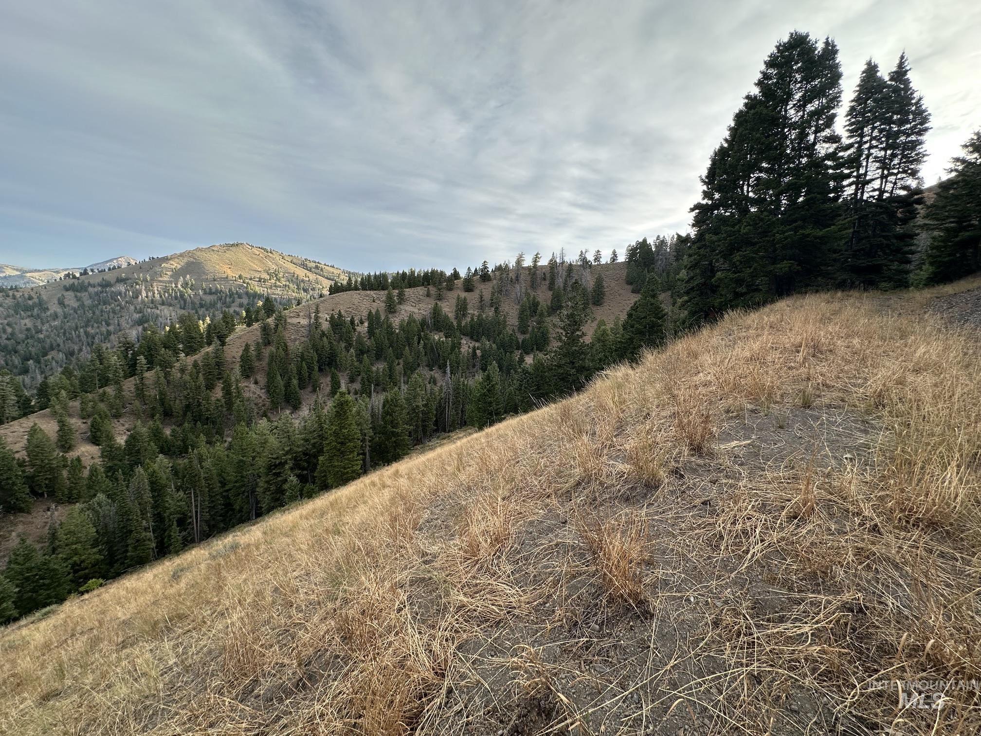 Carrie Creek Road Fairfield, ID 83327 - Photo 11 of 22 Gallery Image 11