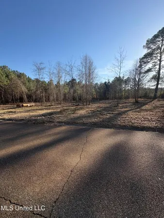 $36,000 | 0 Southeast Pinewood Drive, Magee, MS 39111