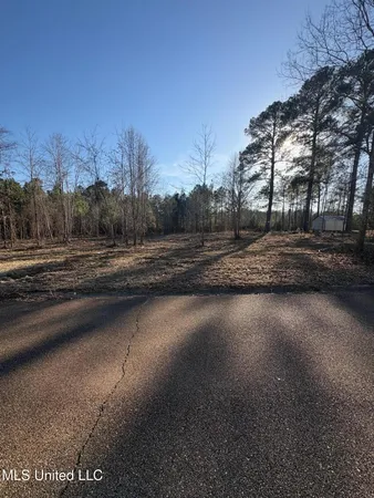 $36,000 | 0 Southeast Pinewood Drive, Magee, MS 39111