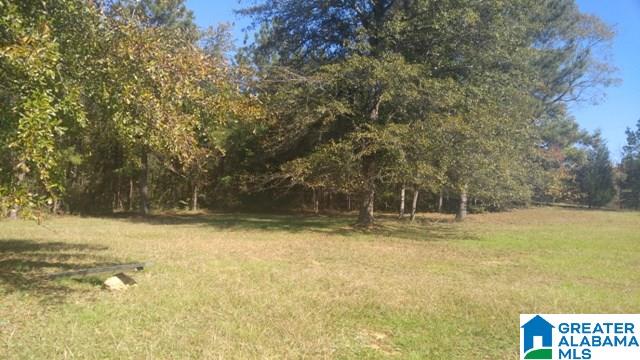 4208 Blue Cutt Road Pell City, AL 35128 - Photo 27 of 29