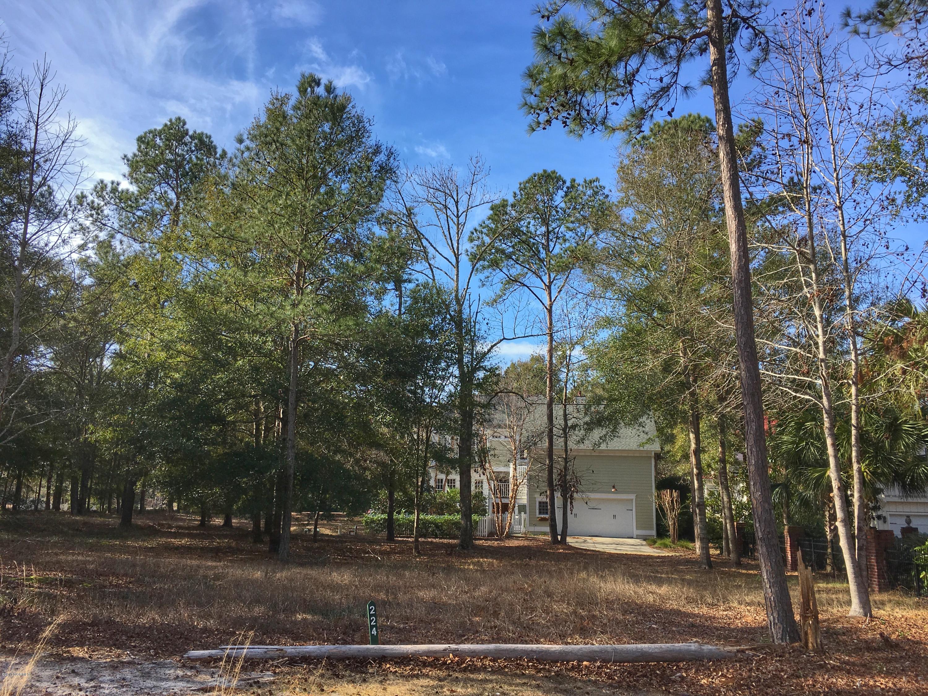 9149 East Bramshill Road Southwest Calabash, NC 28467 - Photo 3 of 8 Come Build Here