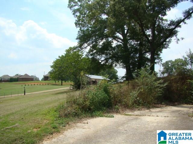 183 Holly Hills Road Lincoln, AL 35096 - Photo 10 of 28