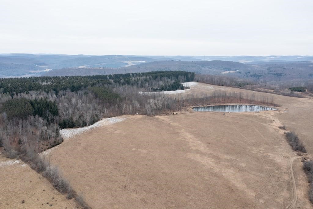 2127 Space Road Rathbone, NY 14801 - Photo 11 of 50