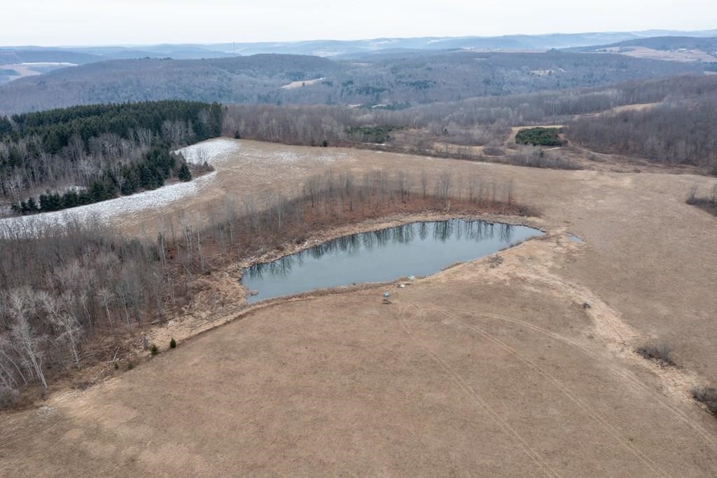 2127 Space Road Rathbone, NY 14801 - Photo 2 of 50