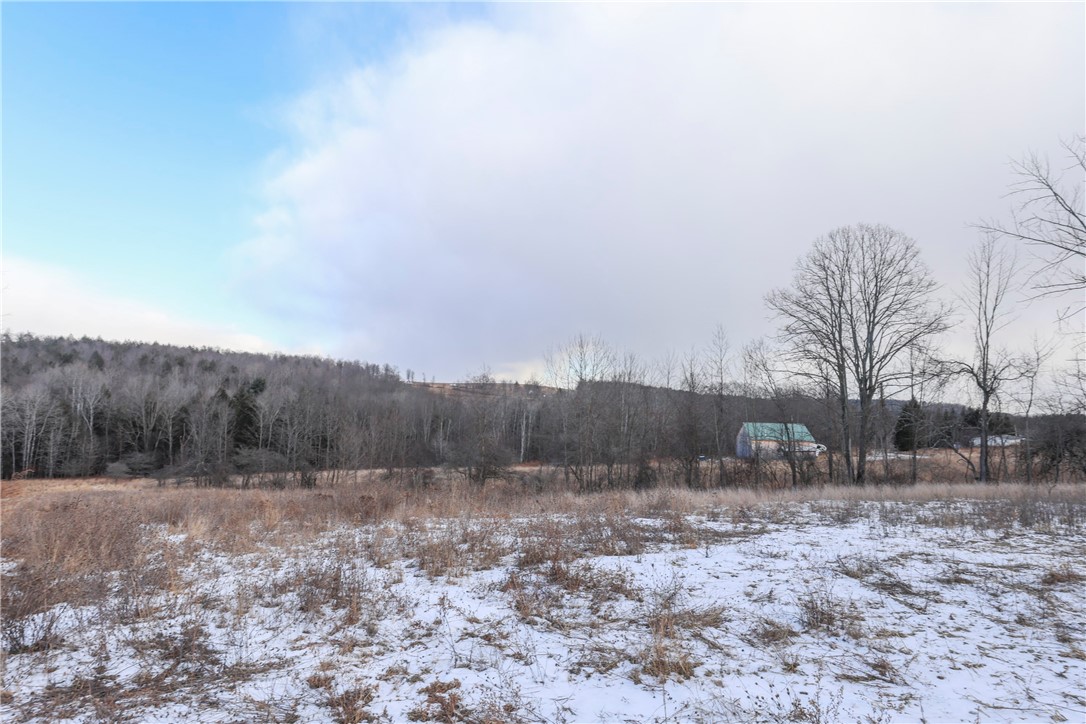 2127 Space Road Rathbone, NY 14801 - Photo 44 of 49