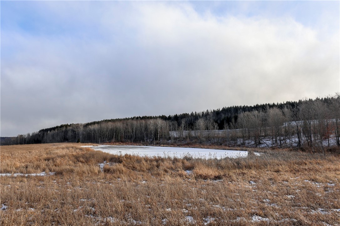 2127 Space Road Rathbone, NY 14801 - Photo 46 of 49