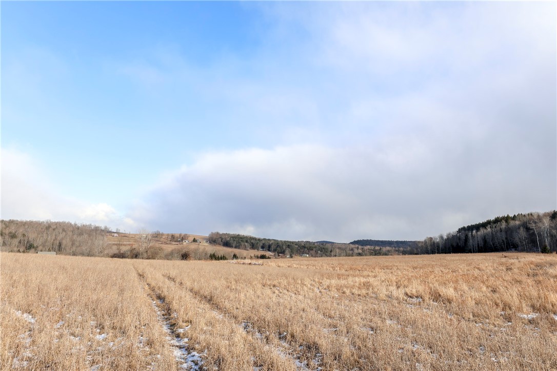 2127 Space Road Rathbone, NY 14801 - Photo 47 of 49