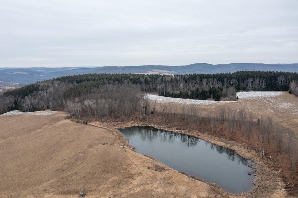 2127 Space Road Rathbone, NY 14801 - Photo 8 of 50