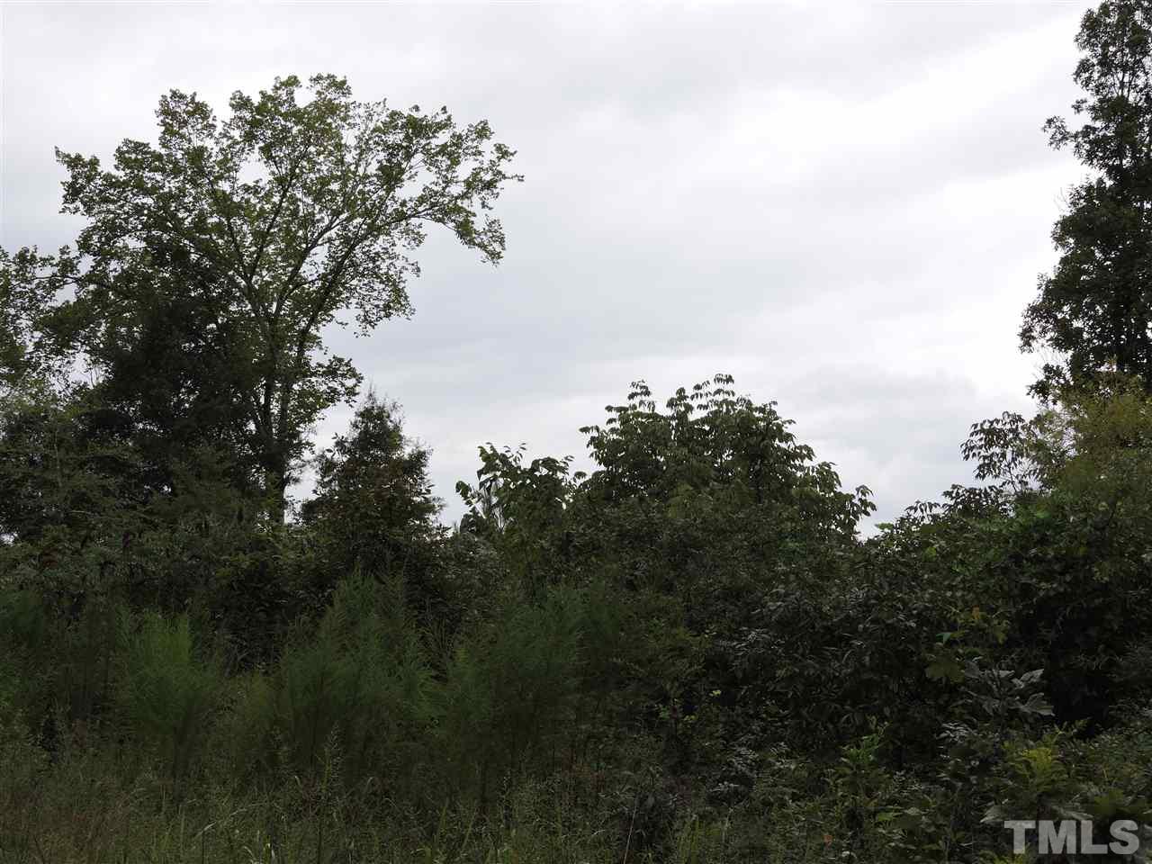 24.86-acre Alva Oakley Road Roxboro, NC 27574 - Photo 3 of 7 a view of a yard with a tree