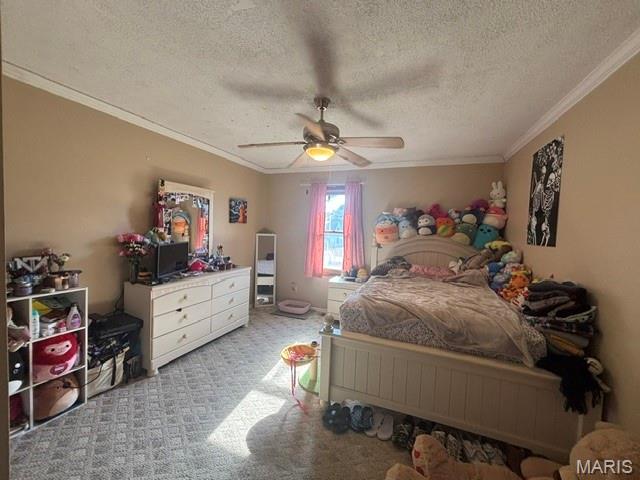 309 Palmyra Street Perry, MO 63462 - Photo 24 of 30