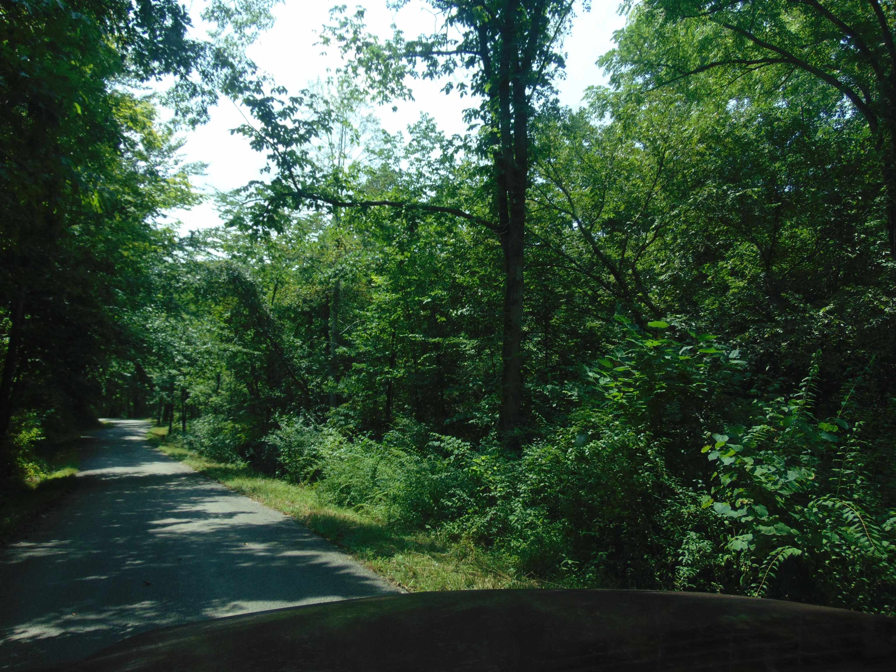 0 Tick Ridge Road Olive Hill, KY 41164 - Photo 3 of 5