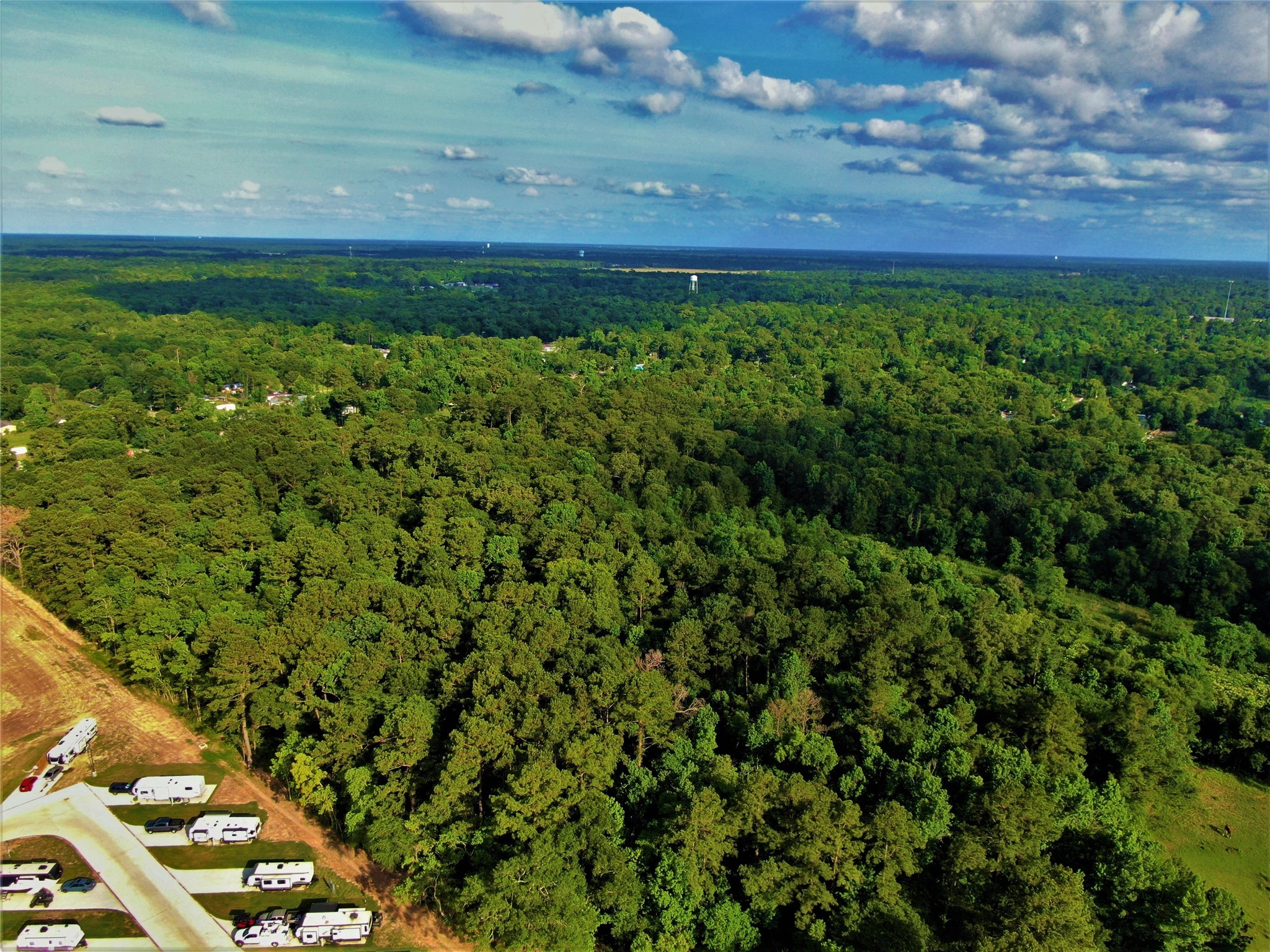 12-26 Glendale Road Porter, TX 77365 - Photo 2 of 12 a view of yard with seating area