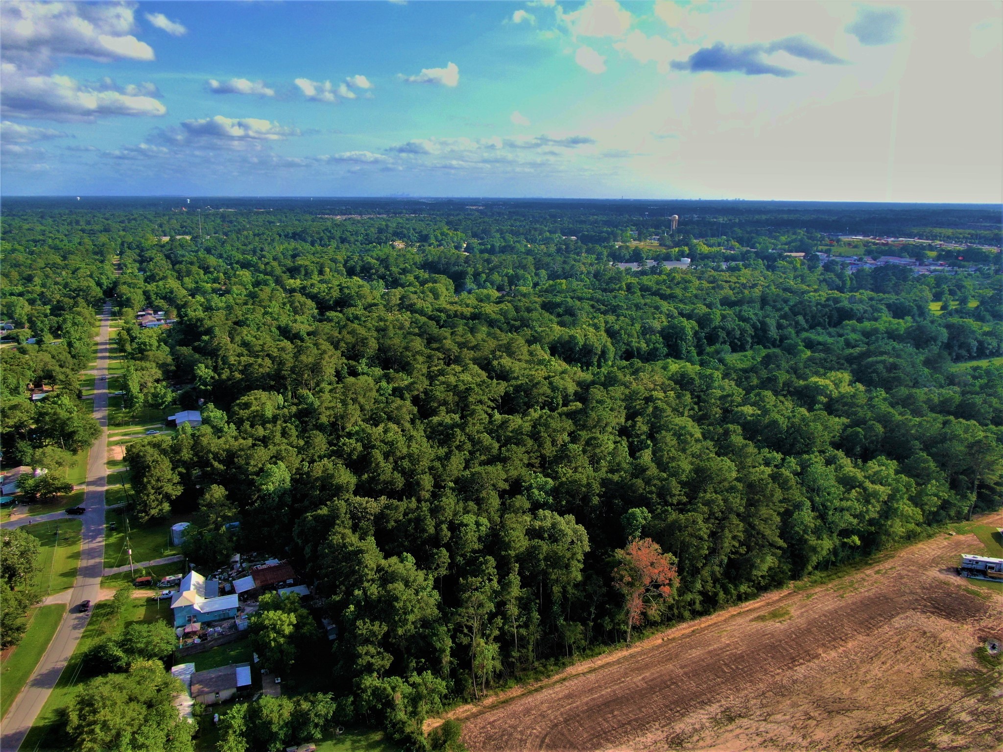 12-26 Glendale Road Porter, TX 77365 - Photo 3 of 12 a view of a green field