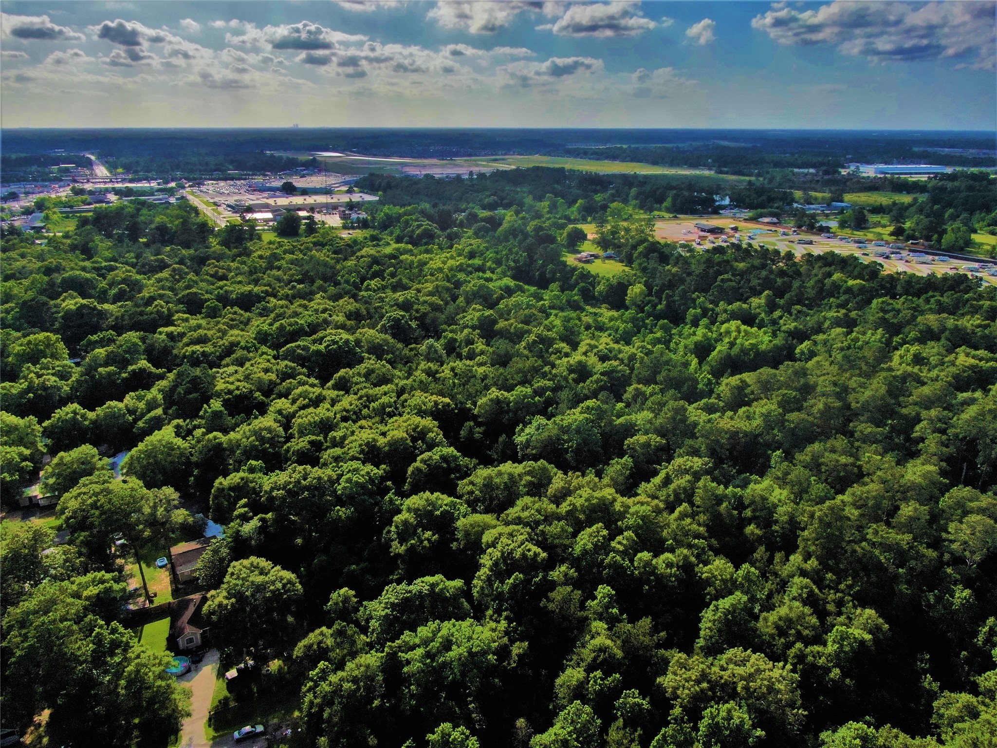 12-26 Glendale Road Porter, TX 77365 - Photo 5 of 12 a view of a lush green field