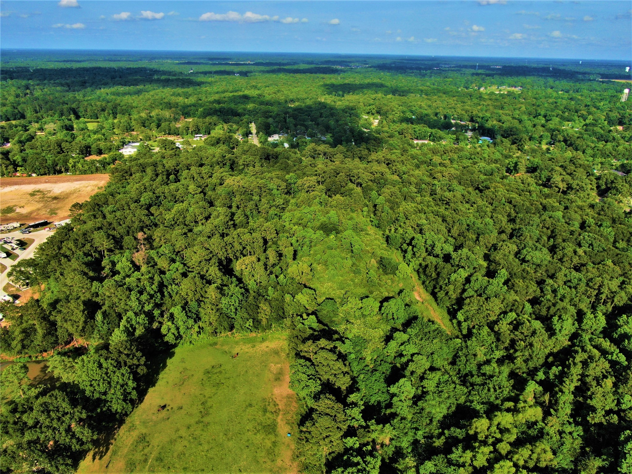 12-26 Glendale Road Porter, TX 77365 - Photo 6 of 12 a view of yard with green space
