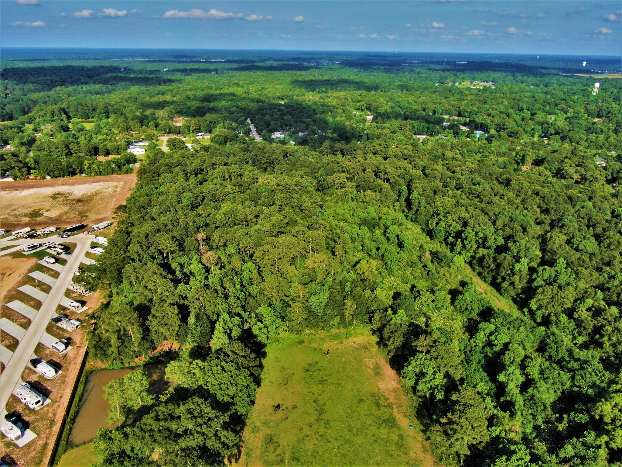 12-26 Glendale Road Porter, TX 77365 - Photo 7 of 12 a view of yard with swimming pool