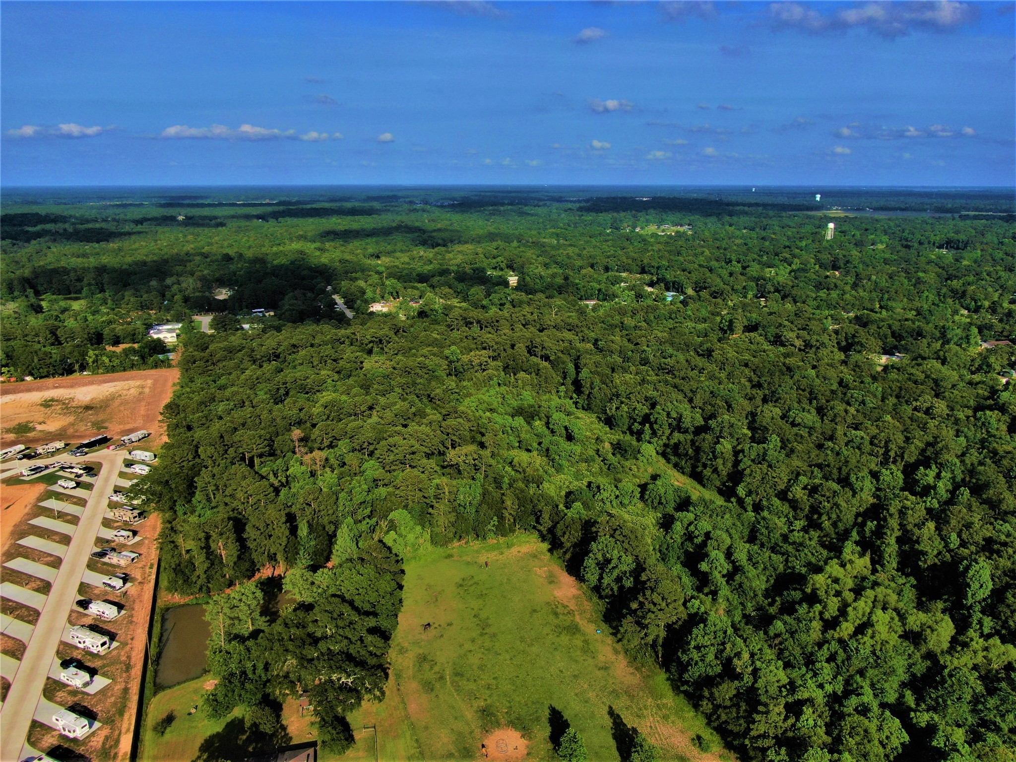 12-26 Glendale Road Porter, TX 77365 - Photo 8 of 12 a view of yard with green space