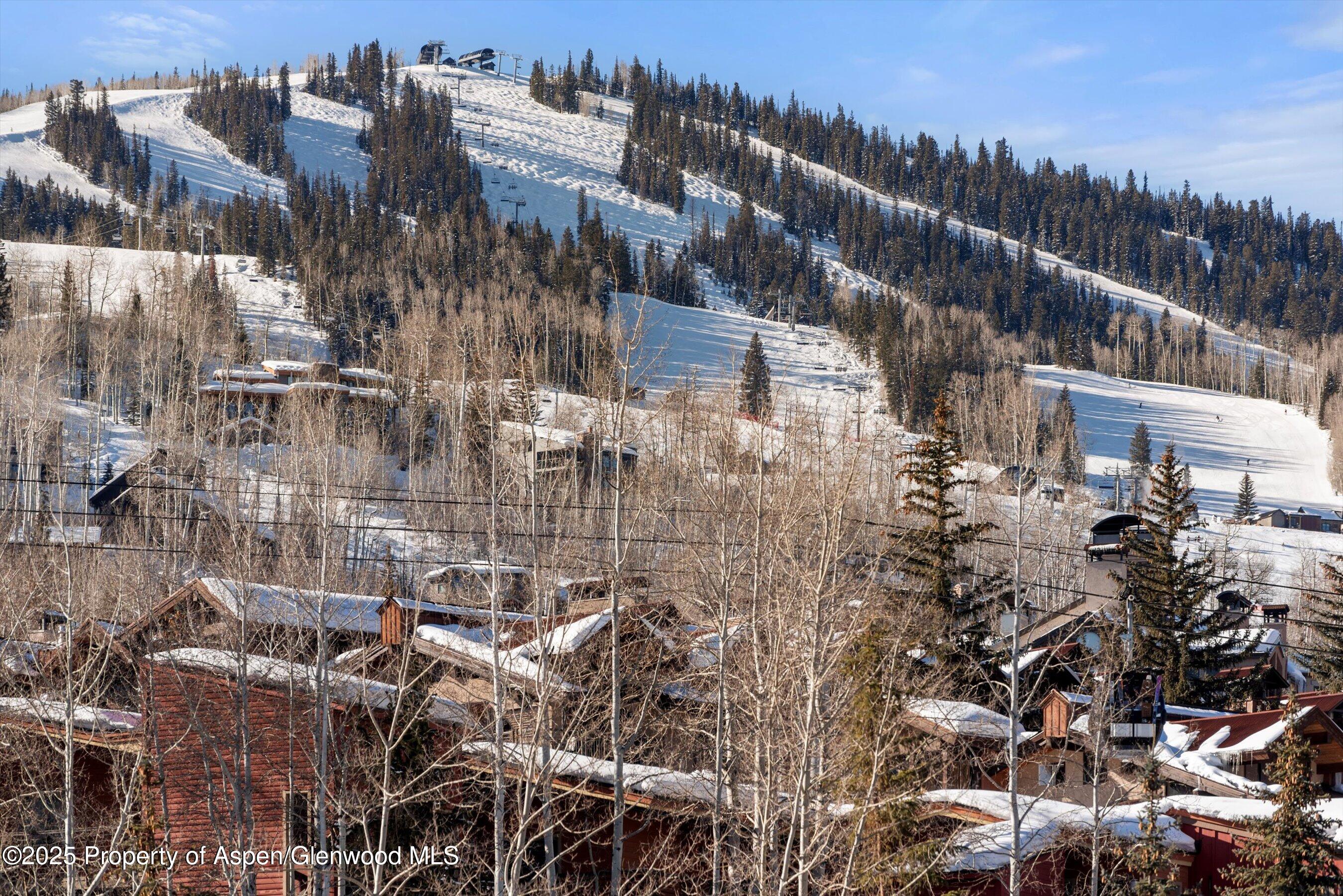 130 Wood Road, Unit 461463 Snowmass Village, CO 81615 - Photo 2 of 25 Views of Snowmass Mountain