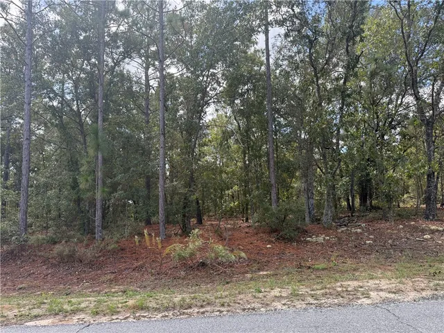 $22,000 | Lot 51 Ridge Loop, Blackshear, GA 31516