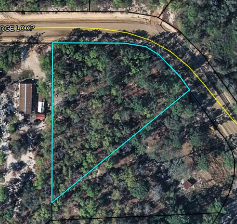 Lot 51 Ridge Loop Blackshear, GA 31516 - Photo 4 of 4