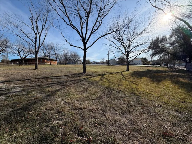 a view of dirt yard with large trees