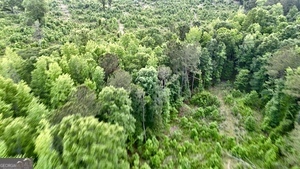 1 Lithonia Church Road Norwood, GA 30821 - Photo 11 of 48