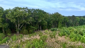 1 Lithonia Church Road Norwood, GA 30821 - Photo 14 of 48