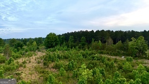 1 Lithonia Church Road Norwood, GA 30821 - Photo 16 of 48