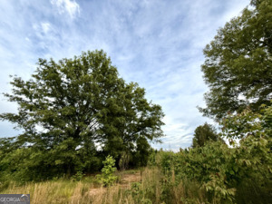 1 Lithonia Church Road Norwood, GA 30821 - Photo 19 of 48