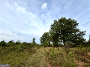 1 Lithonia Church Road Norwood, GA 30821 - Photo 20 of 48