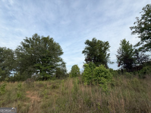 1 Lithonia Church Road Norwood, GA 30821 - Photo 21 of 48