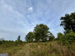 1 Lithonia Church Road Norwood, GA 30821 - Photo 22 of 48