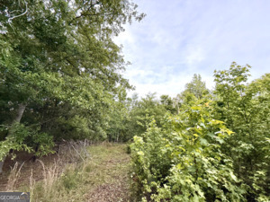 1 Lithonia Church Road Norwood, GA 30821 - Photo 25 of 48