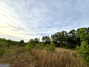 1 Lithonia Church Road Norwood, GA 30821 - Photo 26 of 48