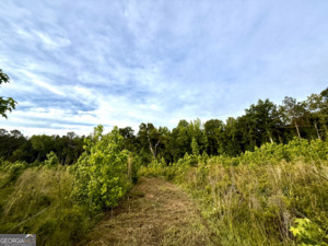 1 Lithonia Church Road Norwood, GA 30821 - Photo 28 of 48