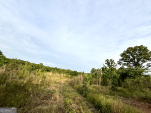 1 Lithonia Church Road Norwood, GA 30821 - Photo 29 of 48