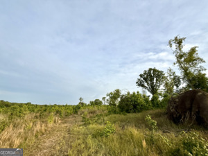 1 Lithonia Church Road Norwood, GA 30821 - Photo 31 of 48