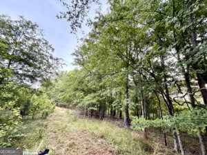 1 Lithonia Church Road Norwood, GA 30821 - Photo 34 of 48