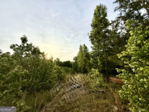 1 Lithonia Church Road Norwood, GA 30821 - Photo 35 of 48