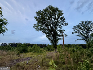 1 Lithonia Church Road Norwood, GA 30821 - Photo 37 of 48