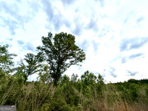 1 Lithonia Church Road Norwood, GA 30821 - Photo 38 of 48