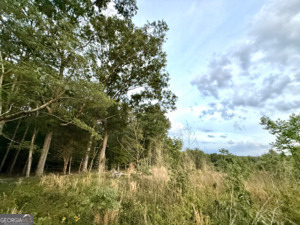 1 Lithonia Church Road Norwood, GA 30821 - Photo 40 of 48