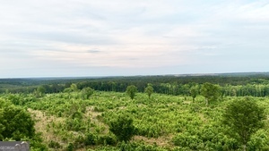 1 Lithonia Church Road Norwood, GA 30821 - Photo 4 of 48