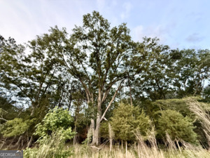 1 Lithonia Church Road Norwood, GA 30821 - Photo 41 of 48